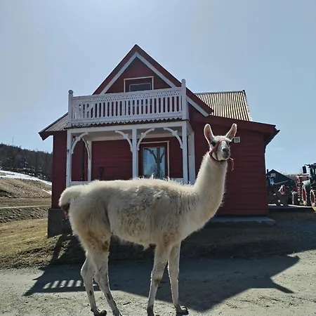 Sommerstue Hessdalen