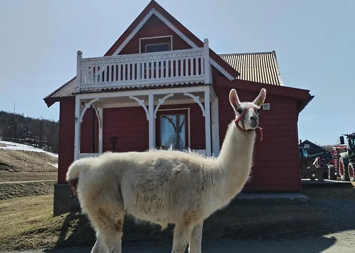 Sommerstue Hessdalen